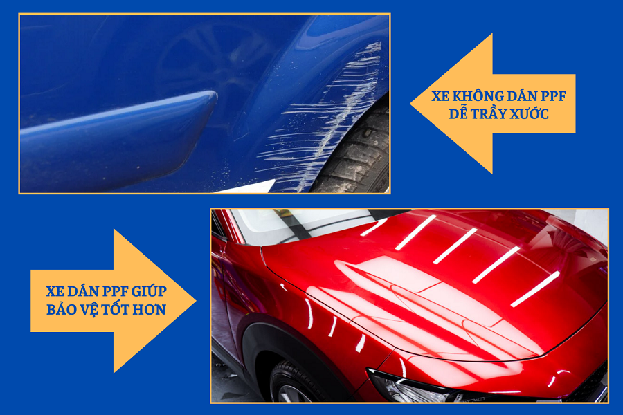 Ô Tô Hoàng Kim - Địa chỉ dán PPF ô tô uy tín tại TP.HCM và Bình Dương - 2