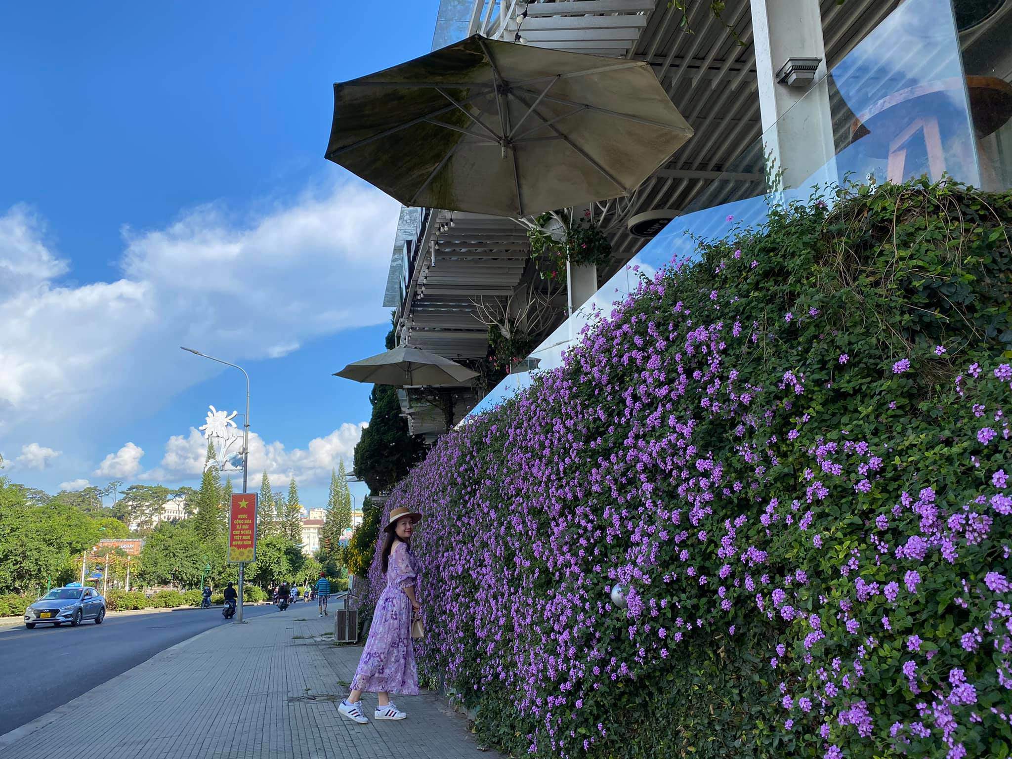 Nơi đây, hoa lá quanh năm đua nhau khoe sắc, tạo nên những bức tranh thiên nhiên tuyệt đẹp.