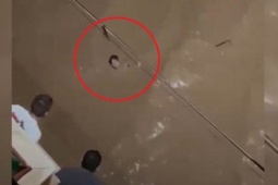 Media - Clip: Bị nước lũ cuốn trôi trên phố, người phụ nữ bất lực la hét