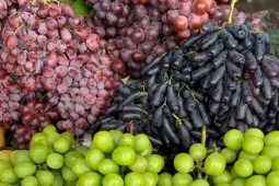 Nho Trung Quốc nhập khẩu vào Việt Nam: Cục BVTV công bố kết quả kiểm tra