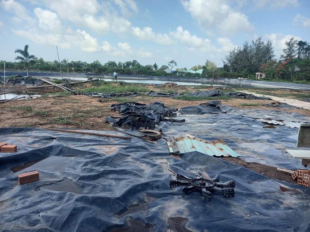 Bạt lót ao tại các ao tôm xuống cấp và bị thải ra môi trường