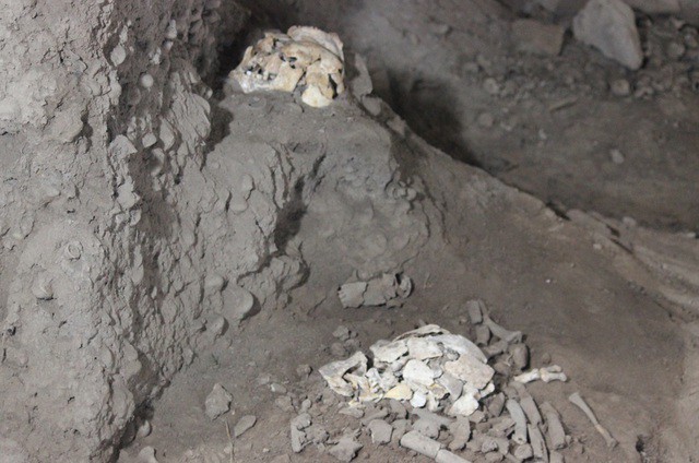 Đặc biệt, tại đây, các nhà khảo cổ học đã tìm thấy các mộ táng theo kiểu “nằm co bó gối” - một trong những kiểu táng sớm nhất của con người