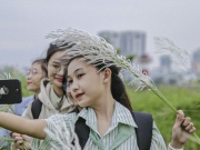Du lịch - Nô nức check-in cánh đồng cỏ lau trắng đẹp mê mẩn