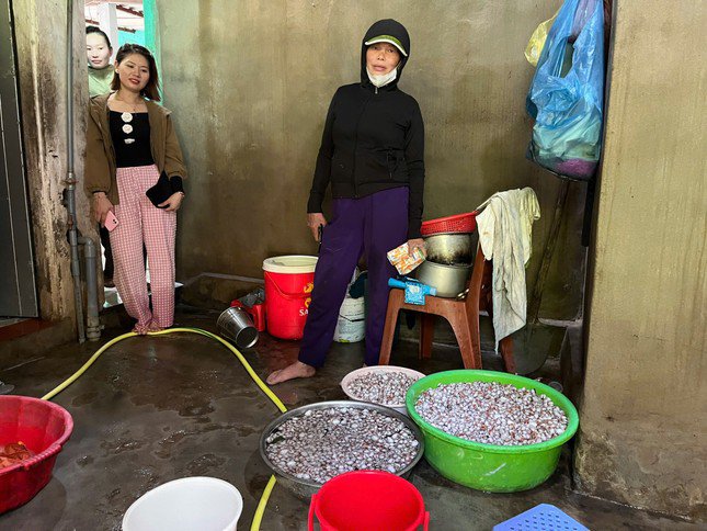 Với giá bán dao động từ 20.000 đồng đến trên 30.000 đồng/kg, một số cá nhân thu nhập tiền triệu mỗi ngày. Việc nhặt sò biển sau mưa bão đã giúp người dân có thêm thu nhập đáng kể.