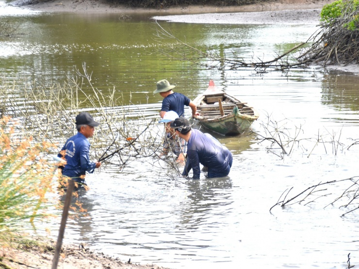 Về Đất Mũi xem nông dân dỡ chà bắt cá - 1