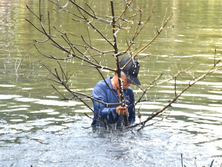 Về Đất Mũi xem nông dân dỡ chà bắt cá - 2