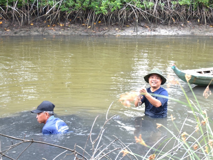 Về Đất Mũi xem nông dân dỡ chà bắt cá - 3