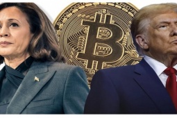 Bitcoin bất ngờ "cắm đầu" lao dốc, tương lai tiền số sẽ ra sao sau bầu cử Mỹ?