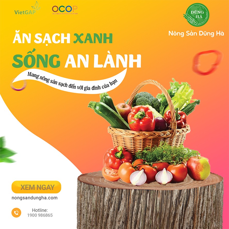 Thực phẩm sạch Dũng Hà: Hành trình đưa nông sản sạch tới người tiêu dùng - 1