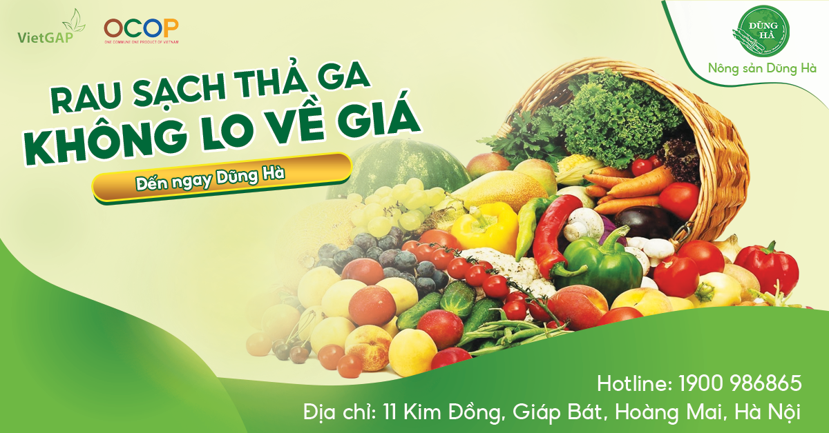 Thực phẩm sạch Dũng Hà: Hành trình đưa nông sản sạch tới người tiêu dùng - 2