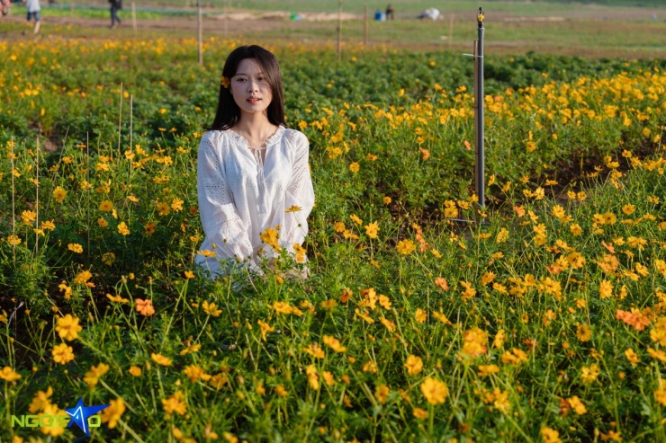 Giới trẻ dậy từ 4h sáng 'sống ảo' ở vườn hoa dưới chân cầu Long Biên - 9