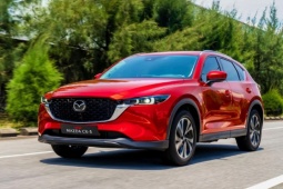 Top 10 xe SUV cỡ nhỏ tốt nhất năm 2024