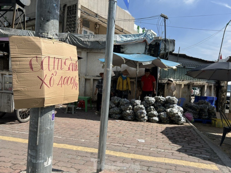 Trên đường Hưng Phú (quận 8), cam sành cũng được cho sẵn vào bịch 10kg, giá xổ chỉ còn 4.000 đồng/kg. "Tuy giá thấp nhưng nhờ bán số lượng lớn nên cũng tiêu thụ được khá nhiều. Khách mua chủ yếu vào buổi chiều tối" - người bán cam cho biết.