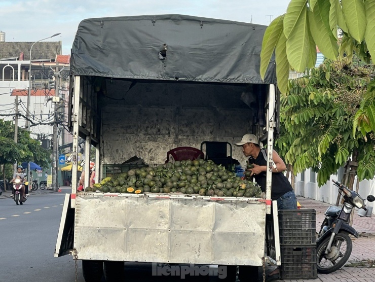 Trên đường 26, phường 11, quận 6, người bán dùng xe tải chở hẳn cam từ nhà vườn đến bán trực tiếp cho người dân ở TPHCM. Giá 20.000 đồng/3kg. "Tôi thường mua cam tự lựa từng trái dù giá cao hơn chút đỉnh chứ ít khi mua bịch 10kg người bán soạn sẵn. Cam vào bịch sẵn có hôm mua về thì nhiều trái hư, úng. Chưa kể hầu hết cam vào bịch sẵn đều là cam chín, để quá hai hôm thì không sử dụng được nữa" - anh Hưng (ngụ quận Bình Tân) nói.