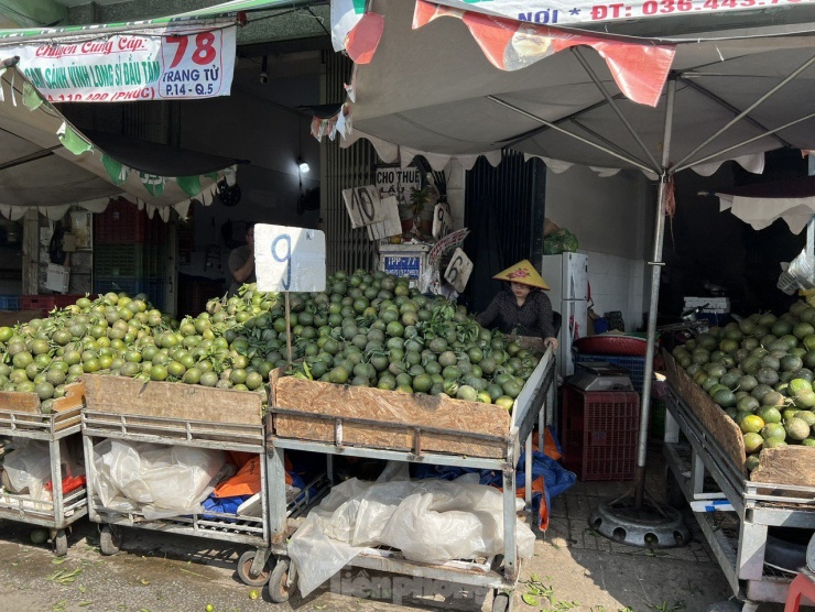 Tại khu chợ trái cây trên đường Trang Tử (quận 5), tiểu thương bán cam sành phân theo từng loại, cắm bảng niêm yết giá khác nhau, từ 8.000 - 11.000 đồng/kg. "Cam chúng tôi bán đều là hàng tuyển, bao ăn, cuống tươi mới hái. Quả cam to bằng nắm tay, một ký khoảng 3 - 4 quả. Tuy giá cam đang thuộc loại trái cây có giá rẻ nhất ở chợ nhưng khách mua khá ít" - chị Hồng, tiểu thương bán cam nói.