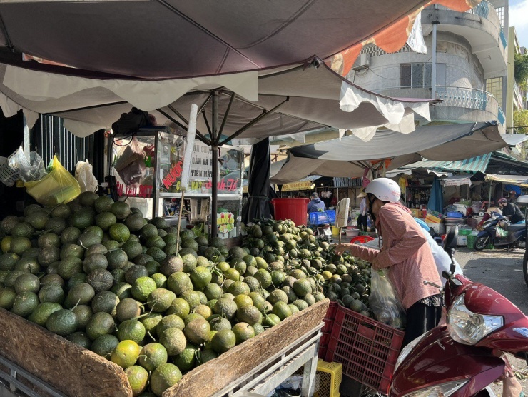 Đại diện chợ đầu mối nông sản Bình Điền cho biết, lượng cam sành về chợ mỗi đêm khoảng 86 tấn, giá loại 1 vẫn đang ở mức 13.000 đồng/kg, loại 2 ở mức 10.000 đồng/kg. Giá này vẫn còn khá cao so với thời điểm 2 năm trước khi giá cam sành có lúc rớt xuống chỉ khoảng 8.000 đồng/kg. “Cam sành về chợ đầu mối được tuyển chọn đồng nhất về chủng loại và chất lượng, trong khi hàng bán xổ, giá rẻ đa số là hàng dạt, “tiền nào của nấy” – bà Bình, thương nhân kinh doanh trái cây tại chợ Bình Điền nói.