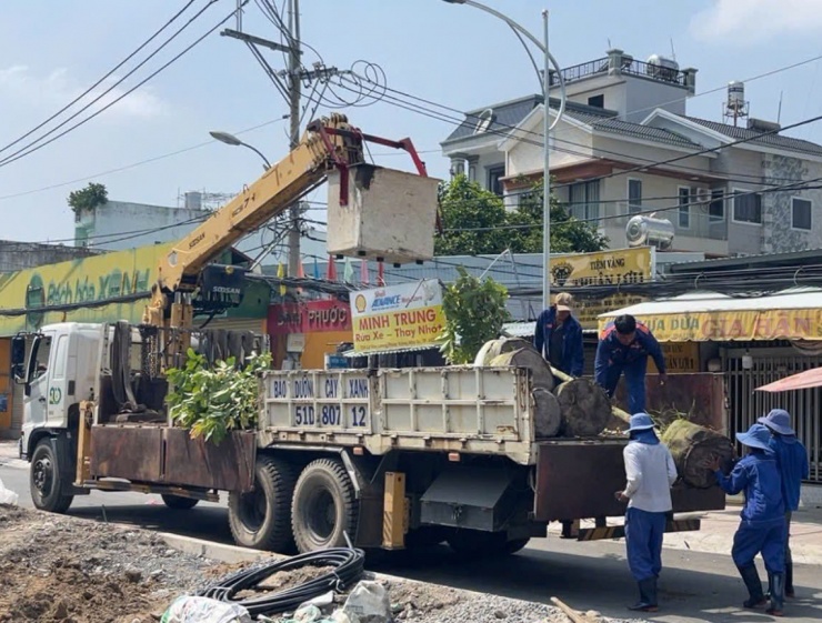 Công nhân thi công vỉa hè và trồng cây xanh tại khu vực đường dẫn cầu Rạch Đỉa phía bờ quận 7. Ảnh: CTV