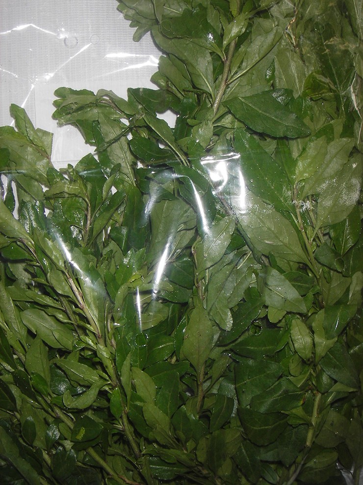 Đây là món rau quê vô cùng hấp dẫn, có thể luộc, nấu canh xương, canh thịt băm, canh tôm, thậm chí còn có thể nhúng lẩu.&nbsp;
