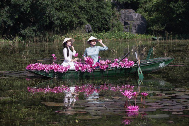 Thôn nữ bên hoa súng. Ảnh: Tường Huy.