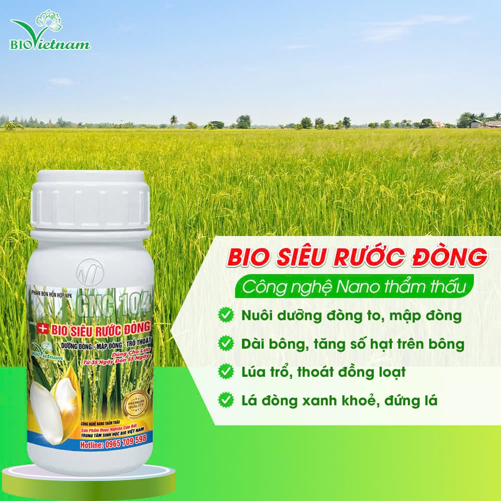Bio Siêu Rước Đòng - Giải pháp cho lúa trổ bông, dưỡng đòng