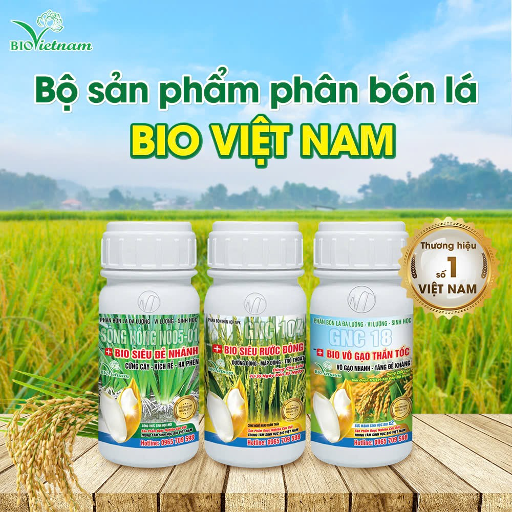 Giải pháp toàn diện cho lúa với bộ 3 sản phẩm của công ty Bio Việt Nam