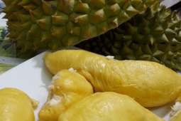 Thị trường - Tiêu dùng - Sầu riêng 200.000 đồng/kg: Có phải bong bóng giá?