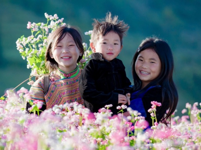 Du lịch - Mê đắm vẻ đẹp mùa hoa tam giác mạch ở Suôi Thầu – Hà Giang