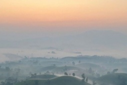 Du lịch - Huyền ảo đồi chè 'bát úp' đẹp như tranh vẽ