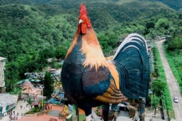 Khách sạn hình con gà lớn nhất thế giới