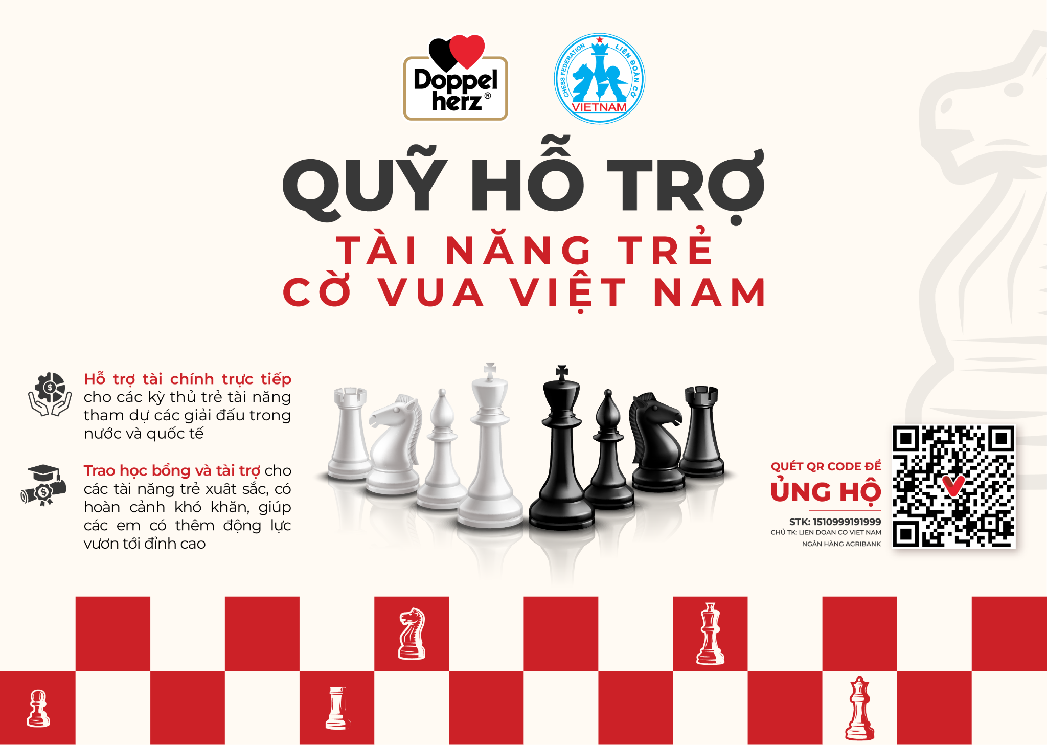 Thông tin Quỹ hỗ trợ tài năng trẻ cờ vua Việt Nam