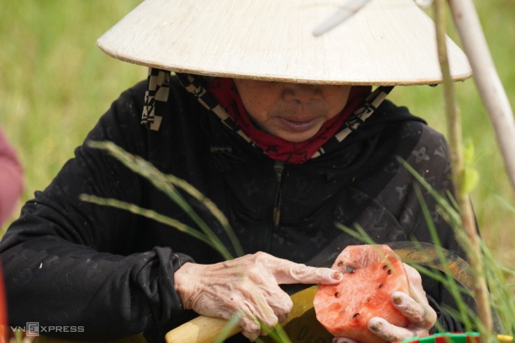 Giữa trưa, nhóm lao động nghỉ tay dùng cơm mang theo. Sau nhiều giờ ngâm dưới nước, tay của bà Nguyễn Thị Lượm đã nhăn nhúm, chuyển sang màu trắng.