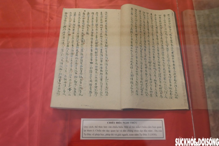 Về tư liệu Hán Nôm dưới dạng thủ bản, phần lớn là bản gốc được viết tay trên giấy dó, ngôn ngữ chính là chữ Hán, một số viết bằng chữ Nôm. Các bản lưu kho, tích hợp lưu trữ đều dưới dạng các tệp số hóa.