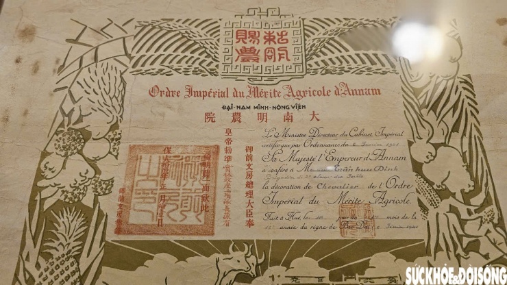 Về tư liệu thành văn có hàng nghìn đầu sách và tư liệu, thuộc nhiều thể loại và dạng thức khác nhau, như: sách Hán Nôm, thư tịch cổ, các công trình biên khảo về nhà Nguyễn, sách mỹ thuật, kiến trúc, văn hóa, Phật giáo, tôn giáo...