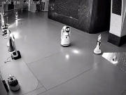 Công nghệ thông tin - Video 12 robot bị rủ rê bỏ việc bởi một robot khác đang gây sốt