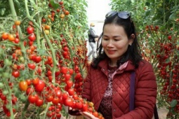 Du lịch - Hàng trăm du khách nghi bị lừa tiền khách sạn dịp Festival hoa Đà Lạt