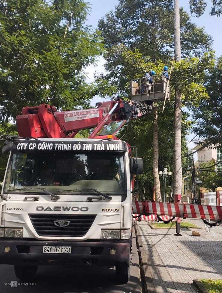 Thành phố trong &#39;rừng&#39; cổ thụ 100 tuổi ở miền Tây - 6