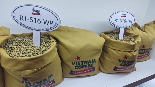 Cà phê Robusta Việt Nam đang ở vùng giá cao nhất trong lịch sử