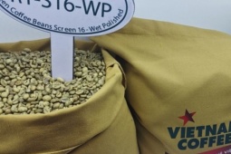 Thị trường - Tiêu dùng - Chuyện lạ giữa mùa cao điểm thu hoạch cà phê