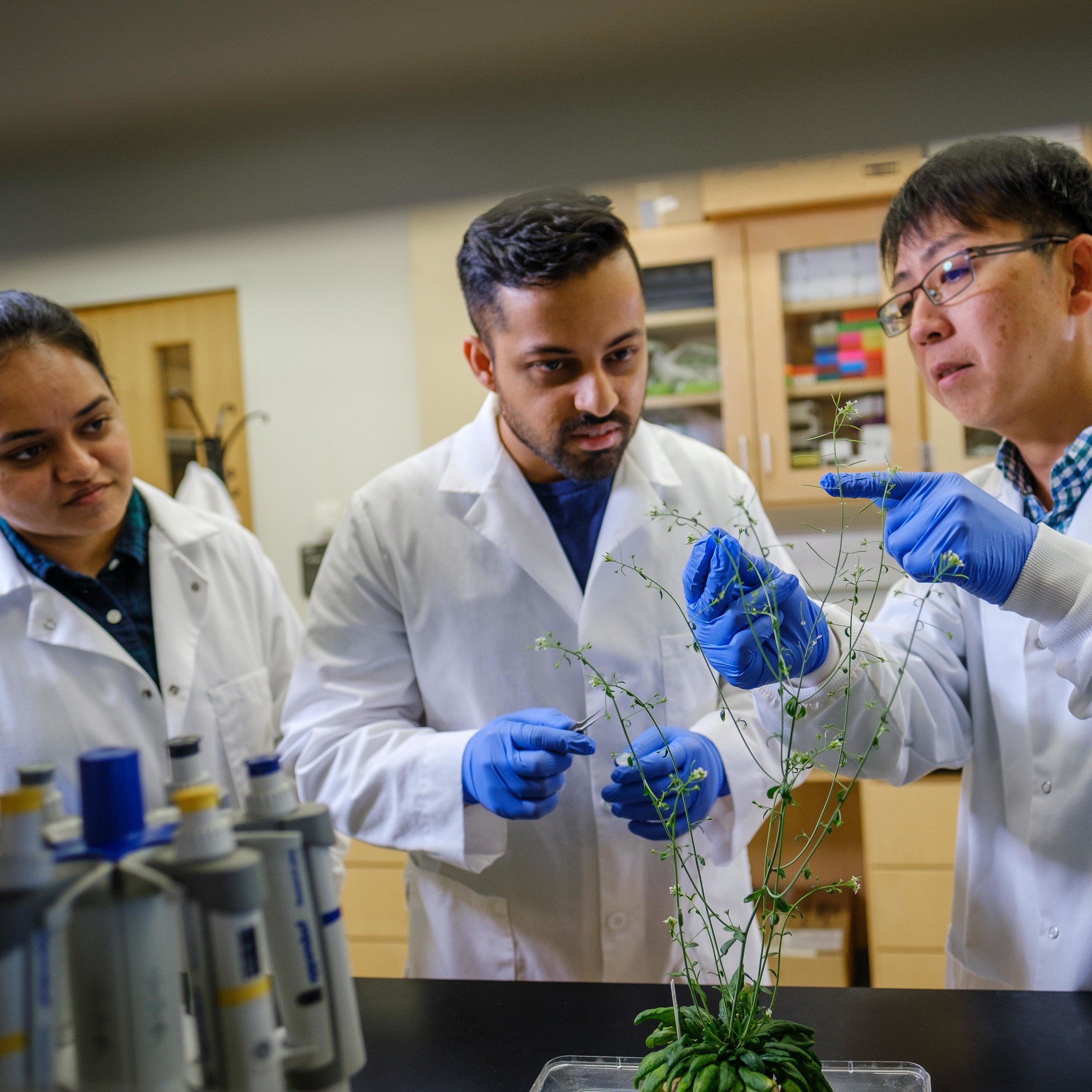 Sinh viên University of Kentucky có nhiều cơ hội tham gia các hoạt động nghiên cứu, thực tập.