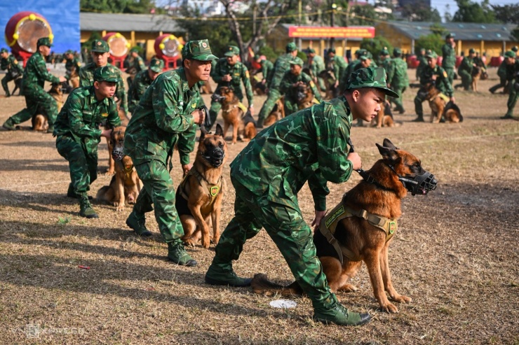 Quân khuyển xếp hình, đặc công phô diễn võ thuật - 3