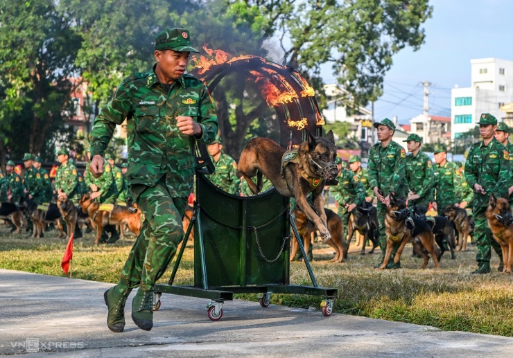 Quân khuyển xếp hình, đặc công phô diễn võ thuật - 4