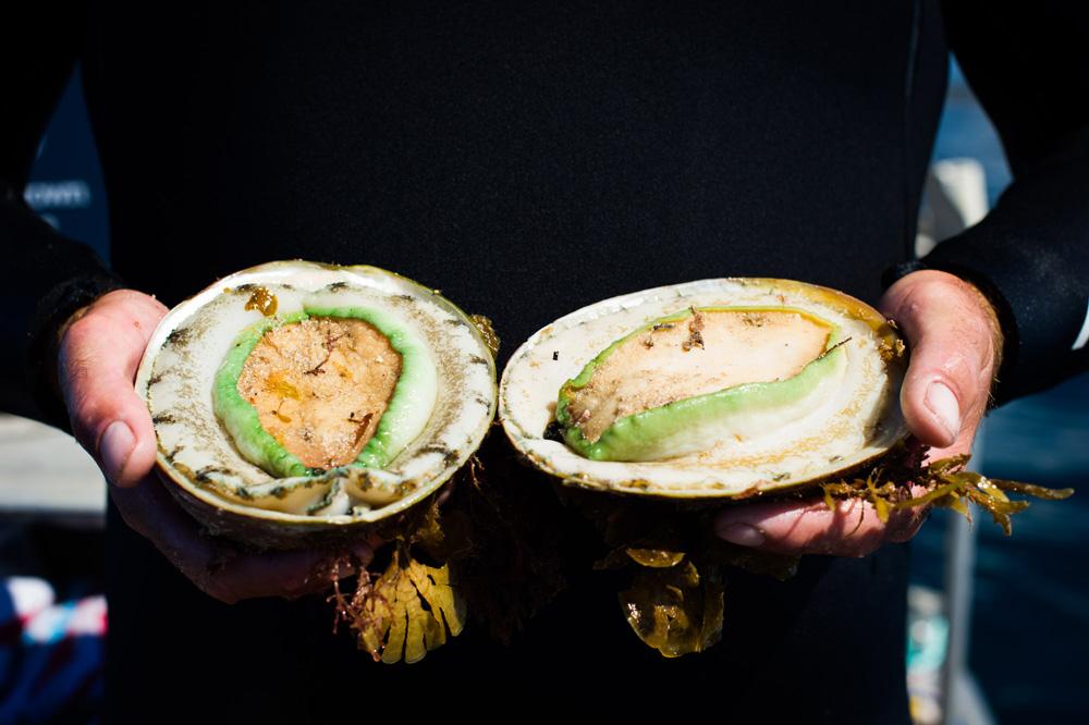 Bào ngư viền xanh TwoOceans Tây Úc tươi ngon