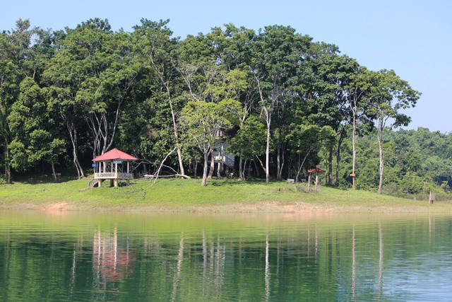 Những cánh rừng xanh mướt trên các đảo