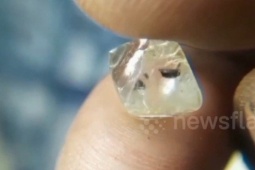 Media - Người đàn ông bất ngờ đào được viên kim cương 5,87 carat