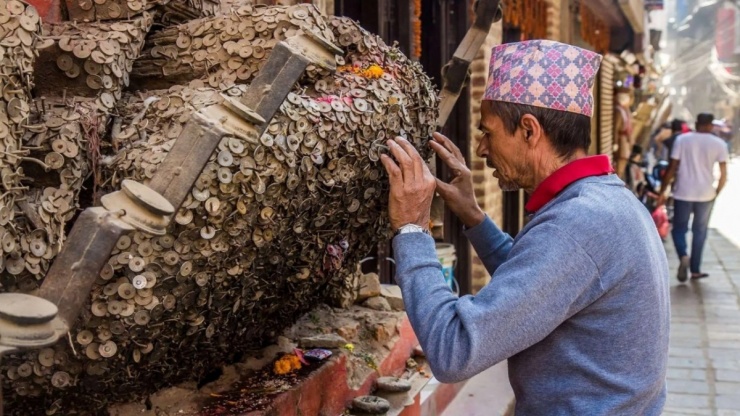 Gốc cây bằng tiền xu 'chữa đau răng' ở Nepal - 3