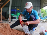 Thị trường - Tiêu dùng - Mạnh dạn bẻ lái trồng loại cây "không lá", ông nông dân thu lãi 400 triệu/năm rất nhẹ nhàng