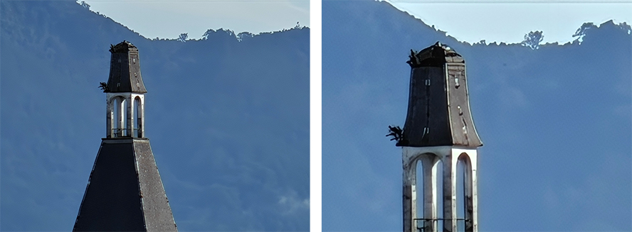 Hình ảnh được zoom từ 60x lên đến 120x vẫn giữ nguyên độ sắc nét của chủ thể nhờ vào AI