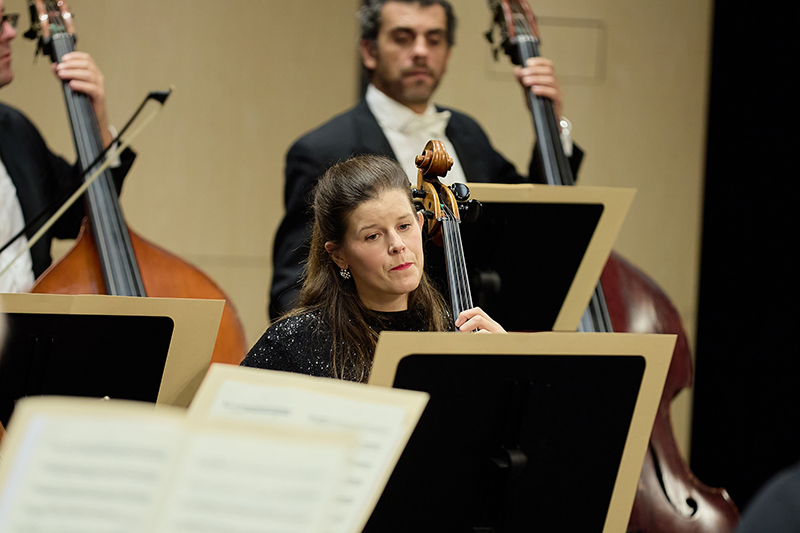 Nghệ sĩ trình diễn tại The Vienna Concert