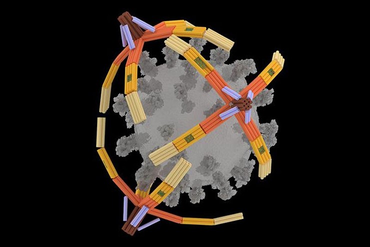 NanoGripper sẽ 