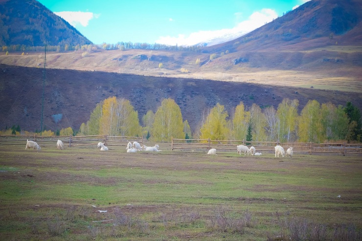 Một khúc chiều tà